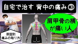 自宅で治す背中の痛み③【肩甲骨の横と下】をほぐす！(マッサージ＆ストレッチ）