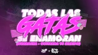 TODA LAS GATAS SE ENAMORAN - GUARACHA Mix - JUAN RMX - LEITO DEEJAY