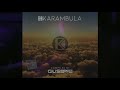 Karambula Compilation - Music selectet by Giuseppe Russo