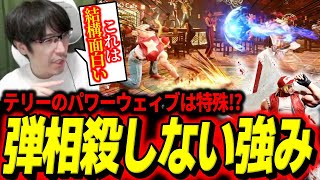 「これは結構面白い」新キャラ・テリーの特徴的な弾の性能を分析するももち【スト6】