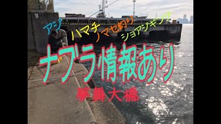 夢舞大橋 今日もナブラ fishingmax 武庫川