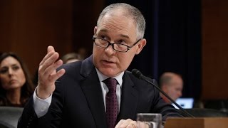 Climate Denier Scott Pruitt Faces Protests at Senate Hearing as 2016 Is Declared Hottest Year Ever
