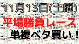 【競馬予想】１１月１３日の平場勝負レース（３レース）！単複ベタ買いで高い回収率を出せる狙い馬！