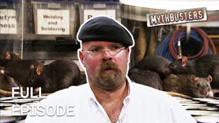 Debunking Disease Transmission Of Rats! | MythBusters | Season 6 Episode 5 | Full Episode