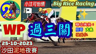 香港賽馬 WP 過三關 25-10-2023 沙田泥地夜賽 - 第2、4及5場 (強國仁、胆哥、大米 聯合提供)