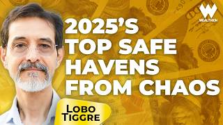 Lobo Tiggre: 2025’s Winning Trades from Potential Chaos