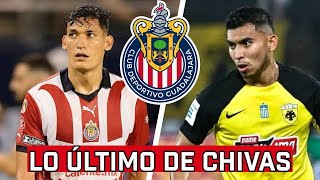 🚨ÚLTIMOS RUMORES CHIVAS / ¿Cómo va el tema Chiquete y Orbelín?