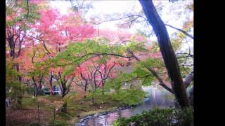 京都府立植物園の秋11月 26日, 2011年.wmv