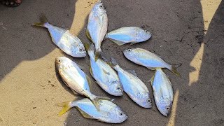 വിഴിഞ്ഞം 🐟🐟🐟 22/2/2025 9:45 AM