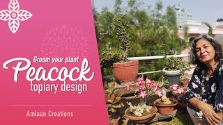 Peacock Topiary with Jade | Advanced Design | Topiary Idea