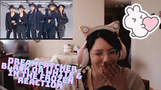 Dreamcatcher(드림캐쳐)- Black Or White | Performance Video & In the Frozen Crossroad Concert REACTION