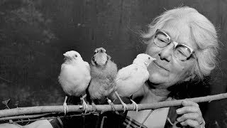 A Century of Birds