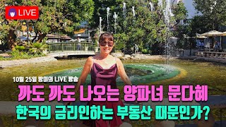 까도 까도 나오는 양파녀 문다혜 · 한국의 금리인하는 부동산 때문인가?