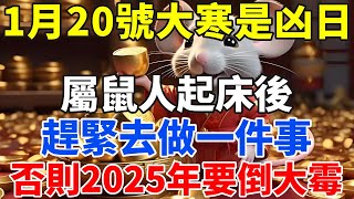 1月20號大寒是凶日，提醒屬鼠人，起床後趕緊去做一件事，否則2025年要倒大霉！【禪定自在】#生肖 #運勢 #命理 #屬相 #風水