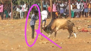 குறுக்க மரம் இல்லனா காலிதான் தலைவன் என்னா குத்து💥💥 || jallikattu || jallikattu video || jallikattu