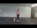 Clark - Sheltie Puppy - BPF Puppy Training School - W2 D4 Weekly Review