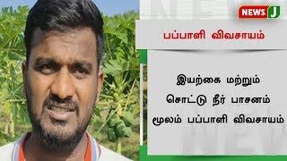 இயற்கை மற்றும் சொட்டு நீர் பாசனம் மூலம் பப்பாளி விவசாயம்