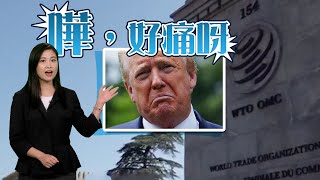 【on.cc東網】東網評論：世貿兜巴摑埋嚟　老美會否又退群