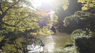 秋の散歩　日比谷公園　2019/10/9 26