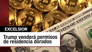 Mercados en incertidumbre: volatilidad en dólar, Bitcoin y oro