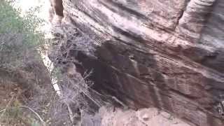 Observation Point Trail - Zion National Park HD