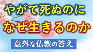 かならず死ぬのに生きる意味はあるのか？【意外な釈迦の答え】