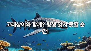 오슬롭 고래상어 투어