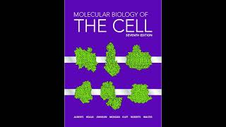 The Cell Cycle | Chapter 17 – Molecular Biology of the Cell