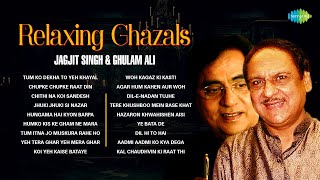 Relaxing Ghazals | Chithi Na Koi Sandesh | Dil E Nadan | Jagjit Singh Ghazals | Best Of Ghazal