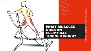 The Benefits of Elliptical Trainers: What Muscles Does an Elliptical Trainer Work?