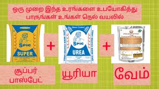 ஒரு முறை இந்த உரங்களை உபயோகித்து பாருங்கள் உங்கள் நெல் வயலில் (சூப்பர் பாஸ்பேட்+ யூரியா + வேம்)