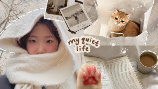 quiet uni life vlog ☁️ : new kitten, skincare, PR package and etc.