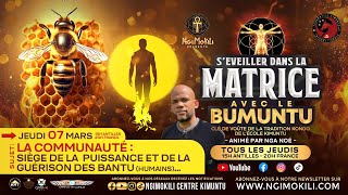 S'éveiller dans la Matrice avec le Bumuntu 8 - La communauté siège de la puissance et de la guérison