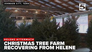 Roan Valley Christmas Tree Farm perseveres following Helene