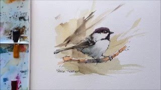 Line and Wash Black Capped Chickadee. Great for begginers in Wildlife painting