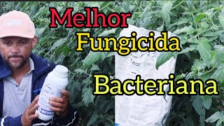 A melhor fungicida (sistêmica) (antibiótico )(contato) #bacteriana #plantações