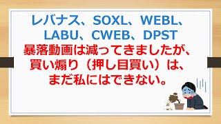 レバナス、SOXL、WEBL、LABU、CWEB、DPST、暴落動画は減ってきましたが、買い煽り（押し目買い）は、まだ私にはできません。【SOXLで老後2000万円問題解決】