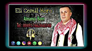 Elî Cemîl Horo الفنانين علي جميل هورو و حسين حج ناصر وجوان بكر في أمسيه فنية ألمانيا بون