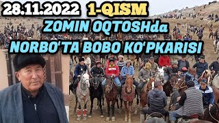 1-QISM.ZOMIN OQ TOSHDA NORBOʻTA BOBO KATTA KOʻPKARI. 28.11.2022