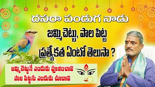 Importance of Jammi chettu pooja | దసరా రోజున జమ్మిచెట్టు, పాలపిట్ట ని ఎందుకు చూడాలి | DASARA 2021