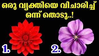 നിങ്ങളുടെ വ്യക്തിയെ മനസ്സിൽ വിചാരിച്ച് ഒരു ചിത്രം തിരഞ്ഞെടുക്കു..