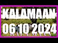 KALAMAAN 06 OGTOBER 2024