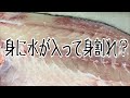 身に水が入って身割れ？編 vol.500