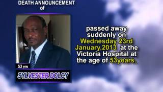 Sylvester Dolcy short