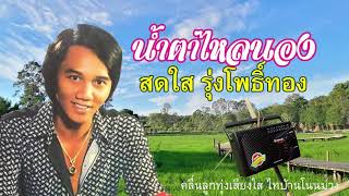 สดใส ร่มโพธิ์ทอง  -  น้ำตาไหลนอง