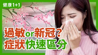 過敏是如何發生的？ | 過敏症狀跟新冠症狀如何區分？ | 過敏or新冠？症狀快速區分 | 健康1+1