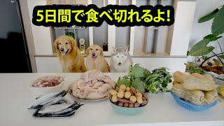 5日間で犬12匹を多頭飼いする食量は？