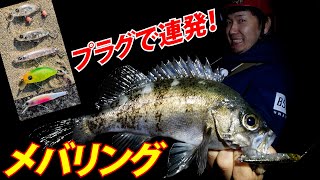 【アングリングソルト発売中】メバルプラッギング釣果ＵＰへの道～アラマキシンヤ