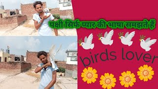 कबूतर शांति का प्रतीक 🌿//🕊️🌹 village vlog♥️// kabootarbazi//#village vlog