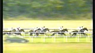 1999 - Cork - Concorde Stakes - Tarry Flynn